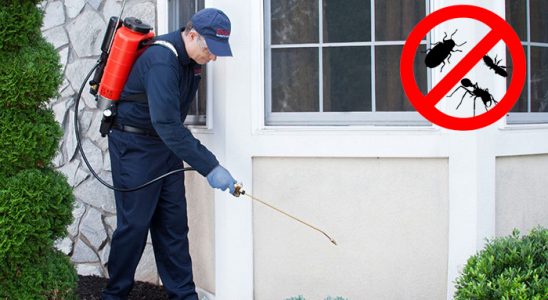 Tekirdağ Kene İlaçlama böcek ilaçlama ve haşere kontrolü — ilaclama-tr.com